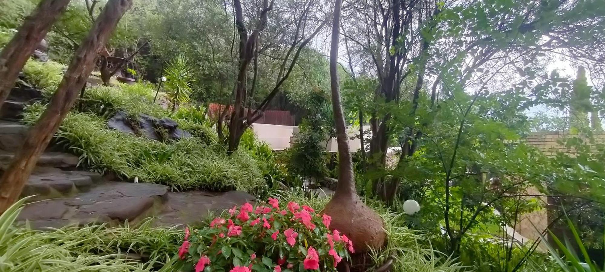 Mountain Gem Bed & Breakfast Bloemfontein Exterior photo